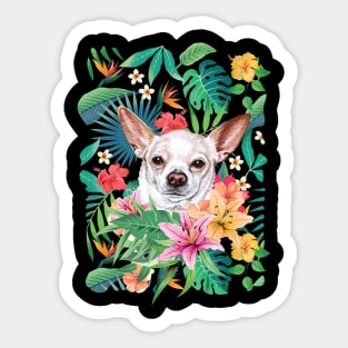 Tropical Short Haired White Chihuahua 2 Sticker